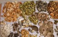 Culinary processing of mushrooms