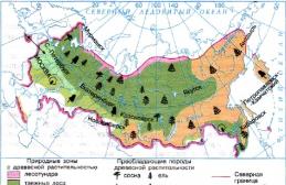 Opći obrasci distribucije vegetacijskog pokrivača na teritoriji Ruske Federacije Faktori koji utječu na distribuciju biljaka i životinja