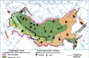 General patterns of distribution of vegetation cover on the territory of the Russian Federation Factors influencing the distribution of plants and animals