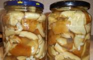 Оригінальний рецепт смачних грибів у томатному соусі Рецепт гриби в томатній заливці на зиму